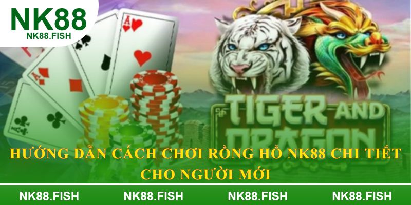 Hướng dẫn cách chơi rồng hổ NK88 chi tiết cho người mới