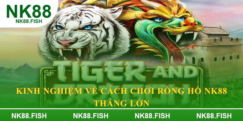 Kinh nghiệm về cách chơi rồng hổ NK88 thắng lớn
